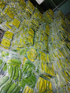 Fournir un avocat surgelé de qualité supérieure en vrac au meilleur prix d'avocat surgelé de qualité supérieure en provenance du Viet Nam - Product Image 3