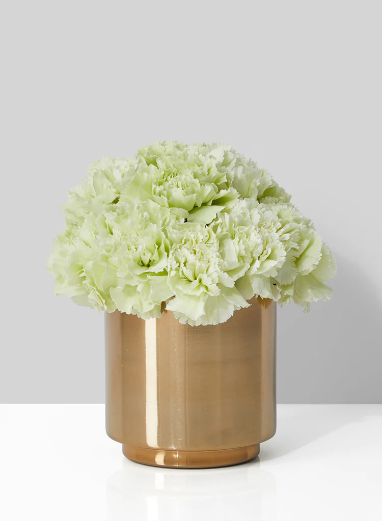 เหมือนกับและกำหนดเอง