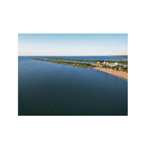 Grandes quantités de bûches de hêtre de qualité supérieure pour les besoins de construction et d'artisanat du bois - Product Image 2