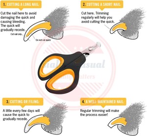 Coupe-ongles pour chat en gros \ Ciseaux professionnels avec poignée en plastique pour chiens et chats - Product Image 6