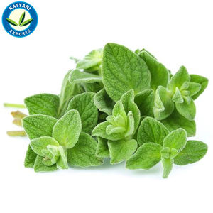 100% คาร์วาคอลออริกาโนบริสุทธิ์และออร์แกนิกจำนวนมากในราคาที่ดีที่สุด - Product Image 4