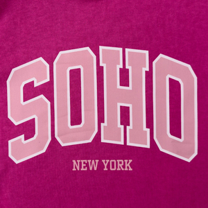 Premium 100% coton élégant femmes sweats chauffé rue mode porter hommes sérigraphié pull à capuche sweat femmes - Product Image 4