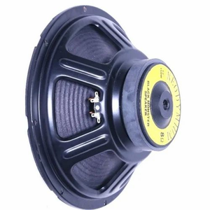 Haut-parleurs dynamiques à haute efficacité de 100 watts et 12 pouces avec des performances durables - Product Image 1