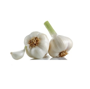 Ail frais biologique naturel en gros, nouvelle récolte, prix attractif - Product Image 3
