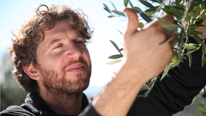 Pruneti 100% อิตาเลียนน้ำมันมะกอกบริสุทธิ์ขนาด500มล. ขวดแก้วโพลีฟีนสูงสำหรับฤดูกาล - Product Image 4