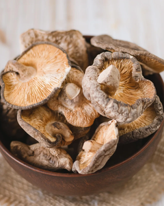 DRIED SHIITAKE <b>MUSHROOM</b> PREMIUM QUALITY FOR EXPORT - Product Image 4