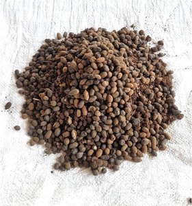Fertilizante de Estiércol de Cabra 100% Orgánico de la India - Product Image 4
