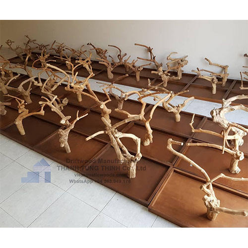 ธรรมชาติ