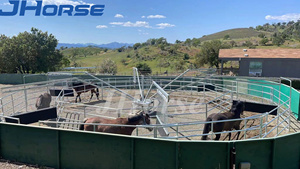 Thép nhiệm vụ nặng nề ngựa thiết bị tập thể dục ngựa đào tạo Walker - Product Image 5