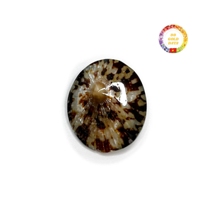 Copa de vino de concha hecha a mano para servir Martini elegante y ceremonia de boda de lujo en el océano - Product Image 5