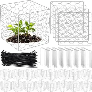 钢丝植物保护器方丝植物笼网植物笼鸡丝钟形
