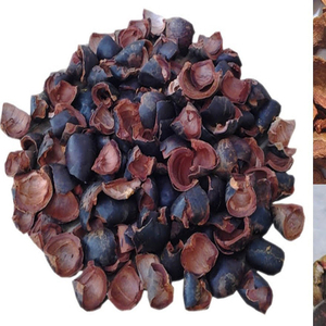 Material de Cáscara de Mangostán Seca Cruda de Primera Calidad Vietnamita Akina - Product Image 1