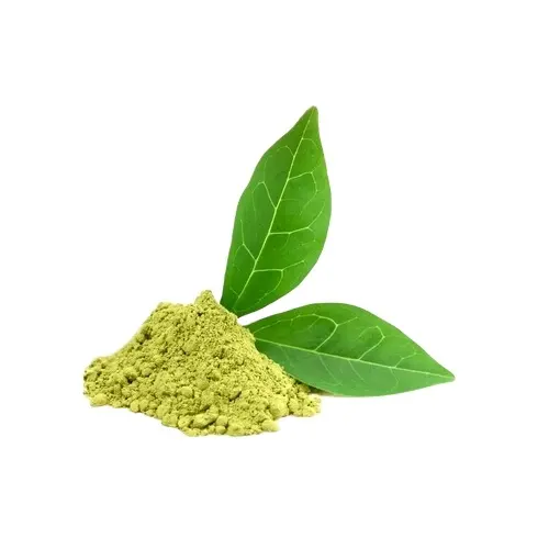 緑茶葉粉末ハーブ抹茶緑茶粉末インドのバルクサプライヤー