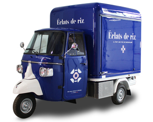 Tricycle alimentaire électrique, chariot de restauration mobile à trois roues, résistant à la rouille, garantie 5 ans, café, pizza, tacos, glaces - Product Image 1
