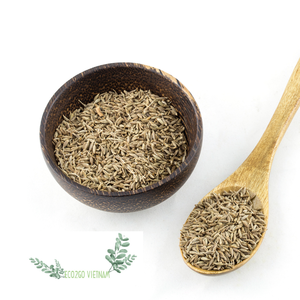 Coconut Bowl, Eco Friendly Coconut Bowl, African Bowl, Natural Coconut Bowl, Vegan Coconut Bowl Vietnam - Product Image 4