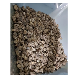 Exportación líder: hongos shiitake secos de alta calidad, frescos y orgánicos de Vietnam. - Product Image 4