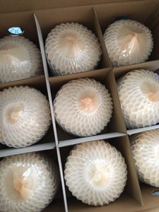 Noix de coco en forme de diamant jeune de haute qualité en vrac meilleur prix pour la conservation de l'eau de processus de grossistes - Product Image 6