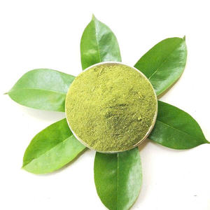 Salud global: polvo de Guanábana al por mayor de Vietnam - Product Image 3