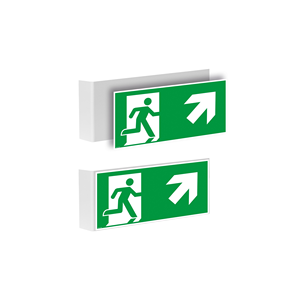 Panneau de signalisation d'urgence photoluminescent, sortie de secours vers le bas, 300 x 150mm (H x L) - RTF-SCHILD-300-6-NLF - Product Image 2
