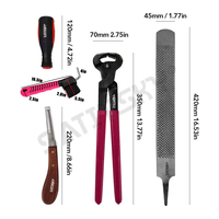 Kit d'outils de maréchal-ferrant toilettage soins des animaux vétérinaire pince à sabot pince à râper marteau couteau brosse à sabot, lime fer à cheval