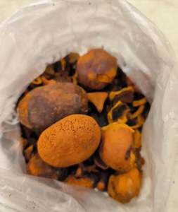 3G NATURE NIU HUANG HERB MEDICINA GANADO BUEY VACA GALLIAS BEZOAR HIERBA - Product Image 4