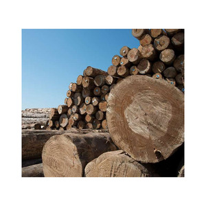 Bois de chauffage durable iroko offert en qualité d'exportation pour les marchés mondiaux de l'énergie - Product Image 5