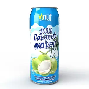 500ml Canned Vinut Natural Pure Coconut Water Non GMO No Fat Never From Concentrate OEM ODM Service