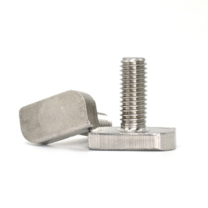 Tùy Chỉnh Ốc Vít M5 M6 M8 M10 304 Thép Không Gỉ T Bolt Lớn Hình Chữ Nhật Bu Lông Đầu Cho Nhôm Hồ Sơ Đầu Vuông Vít - Product Image 3