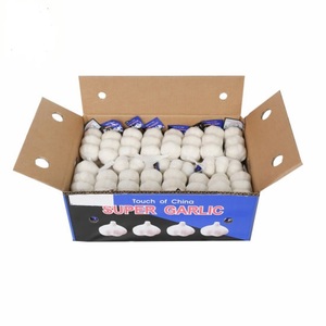 Venta al por Mayor de Ajo Fresco/ Ajo Blanco Normal de 4.5cm 5.0cm 5.5cm 6.0cm Disponible para la Venta al por Mayor - Product Image 1