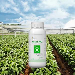 Engrais foliaire à base d'extrait d'algues biologiques haute performance avec du bore et de l'azote pour un rendement agricole accru et une amélioration des plantes - Product Image 3