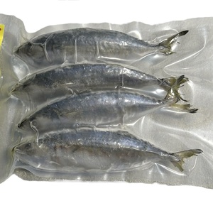 Caballa India Entera Congelada, Origen Vietnam, IQF, Envasado al Vacío a Granel, Marca Personalizable, Venta al por Mayor de Mariscos, Vida Útil 24 Meses - Product Image 5