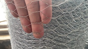 Açık Anti pas altıgen galvanizli örgü bahçe çit tavuk kümesi - Product Image 6