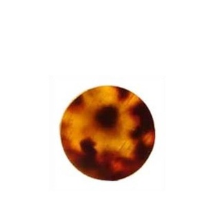 Bouton en corne de buffle pour costume ou manteau Boutons en corne de vache/boeuf naturelle Couleur vierge Taille personnalisée - Product Image 3