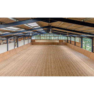 Construction rapide pré assemblage poutres lumière i colonne conception acier encadré kits simple largeur arena hangar à chevaux - Product Image 3