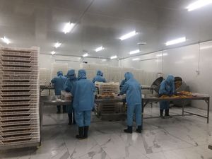 Fruta liofilizada Mango liofilizado AD Mango Chips snack para uso directo de Vietnam - Product Image 4