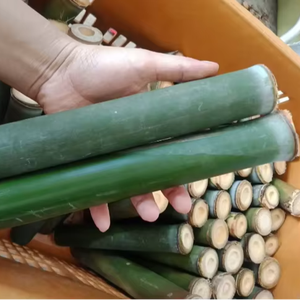 Vietnamese <b>Natural</b> Raw Bamboo <b>Tubes</b> - Decorative Floral & Office Accents VIET FARGIMEX - Product Image 1