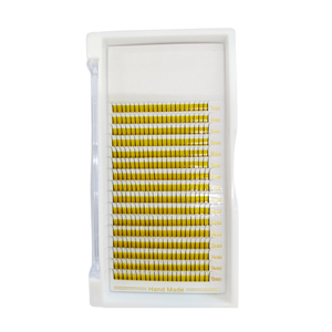 Plateau de cils individuels de maquillage quotidien 2D fait à la main de qualité supérieure modèle de ventilateur facile utilisation de beauté professionnelle conception de marque privée - Product Image 2