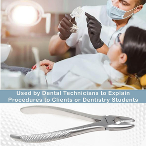 MEDIVA ESSENCE Fórceps de extracción dental de acero inoxidable de alta calidad Patrón americano profesional Dientes superiores inferiores Potencia manual - Product Image 3