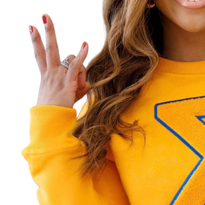 Big Sigma Gamma Rho Chenille sudadera suave Premium algodón cuello redondo bordado SGRho griego hermandad ropa para mujer - Product Image 3