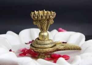 Shiv Puja บูชาตกแต่งบ้านวัด Shivlingam,Shiv Puja รูปปั้นทองเหลืองพร้อมด้วยรูปชบา - Product Image 3