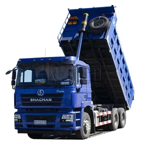 Mesin berat kualitas baik digunakan F3000 12 roda truk Dump Truck 8x4 LHD/RHD 380 kekuatan kuda truk Tipper untuk dijual di 1989 pertambangan