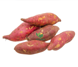 Patate douce congelée de qualité supérieure-en vrac pour l'industrie alimentaire fraîche, sucrée et saine-fabriquée par VIET THIEN PHU du Viet Nam - Product Image 1