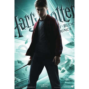 Décoration murale Harry Potter et le Prince Demi-Sang en papier durable - Product Image 1