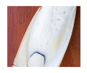 Vente en gros d'aliments pour animaux domestiques 100% os de seiche séchés au soleil nourriture pour oiseaux nourriture pour animaux os de seiche-os de seiche séché de haute qualité - Product Image 1