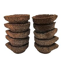 Nuevo Producto: Diya de Panchagavya Vilakku, Hecho con Estiércol de Vaca. Diya 100% de Estiércol de Vaca y Producto Hermoso en Bhumi Gold Organic - Product Image 2