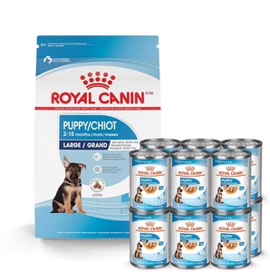Alimento Seco para Cachorros Grandes Royal Canin, Bolsa de 17 lb con 12 Paquetes de 13 oz de Rebanadas Finas en Salsa, Nutrición Completa para la Salud - Product Image 1
