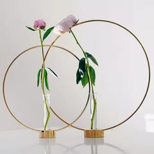 แจกันดอกไม้เหล็กทรงหลอดทดลองแก้วสำหรับปลูกพืชในน้ำ โครงโลหะสีทอง สำหรับการปลูกพืชไร้ดิน ตกแต่งโต๊ะอย่างมีสไตล์ - Product Image 4