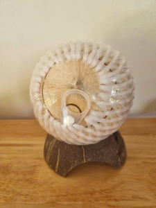 Trimmed <b>fresh</b> young <b>coconut</b> Vietnam craft for serving clear juice and refreshing beverages in traditional oriental dining sets - Product Image 6