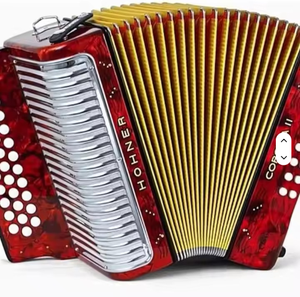 NOUVEAU Ensemble de vente original pour accordéon diatonique 3500FB II 88 touches avec 31 boutons, sac noir, sangles, portable, prêt à être expédié - Product Image 4