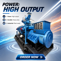 Groupe électrogène silencieux 20KW 30KW à biogaz GPL GNC, triphasé, refroidi par eau, avec onduleur de puissance et AVR, conforme EPA, direct usine